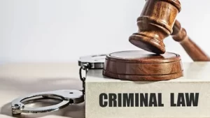 best criminal lawyer in Delhi