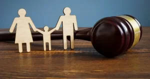 best family lawyer in delhi

