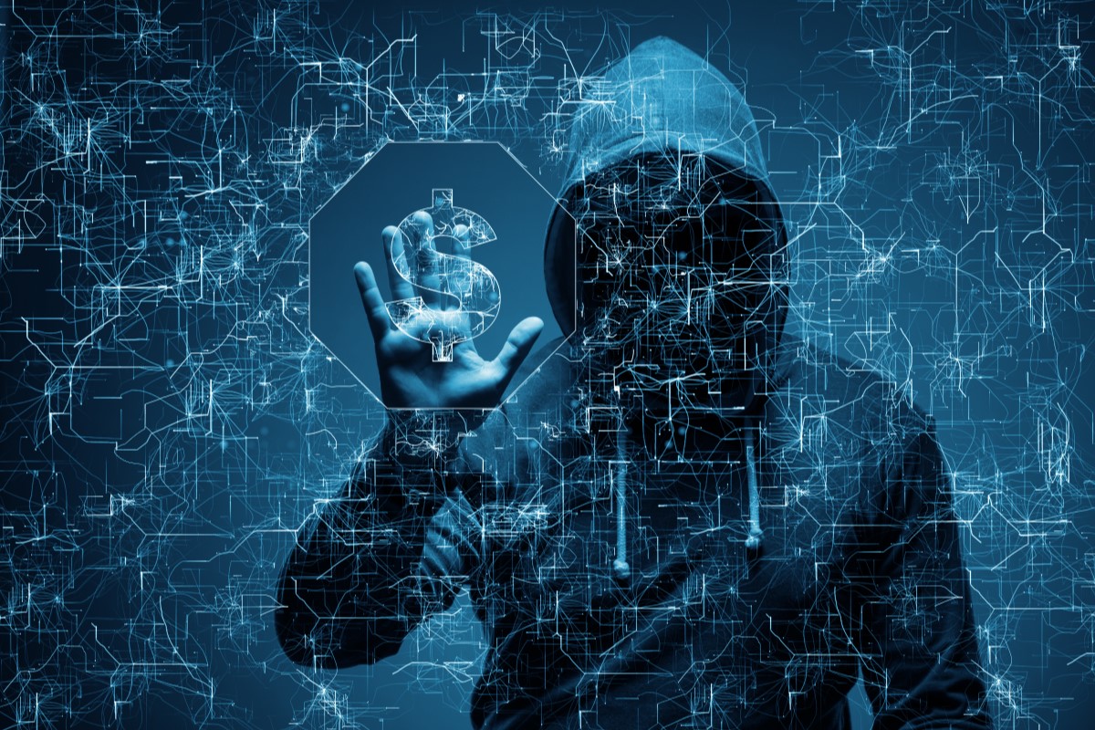 Digital Shadows: Unraveling the Complex World of Cybercrime